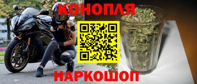 PSILOCYBIN Камышлов